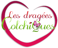 Les Dragées Colchiques - Vente de dragées pour le baptême d'un garçon