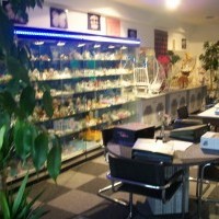 magasin les dragees colchiques gemenos