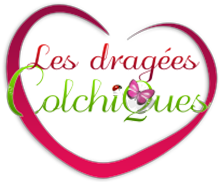 Magasin de dragées à Marseille